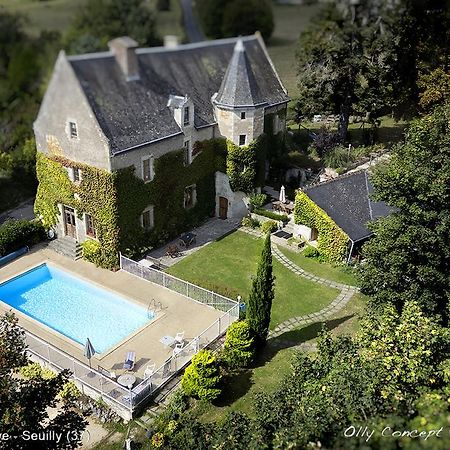 Chinon Manoir De L'Abbaye Panzió Seuilly Kültér fotó